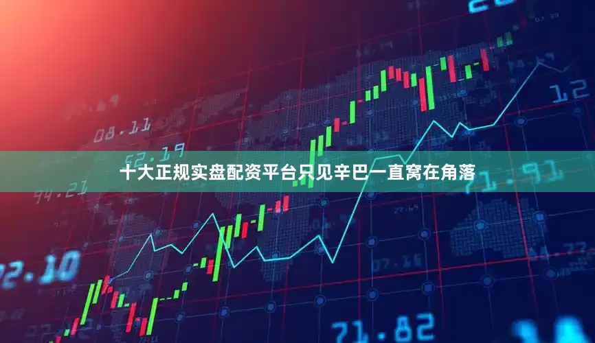 十大正规实盘配资平台只见辛巴一直窝在角落